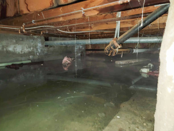 Best Water damage contractors near me  in Rockingham, NC