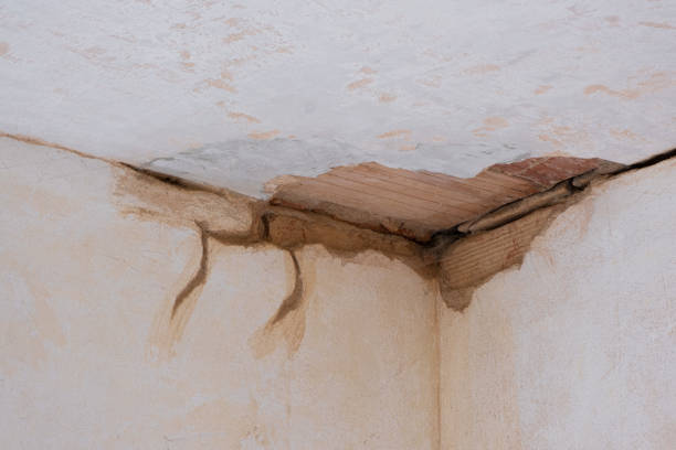 Best Professional water damage repair  in Rockingham, NC