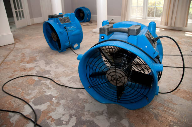 Best Sewage cleanup and water damage restoration  in Rockingham, NC
