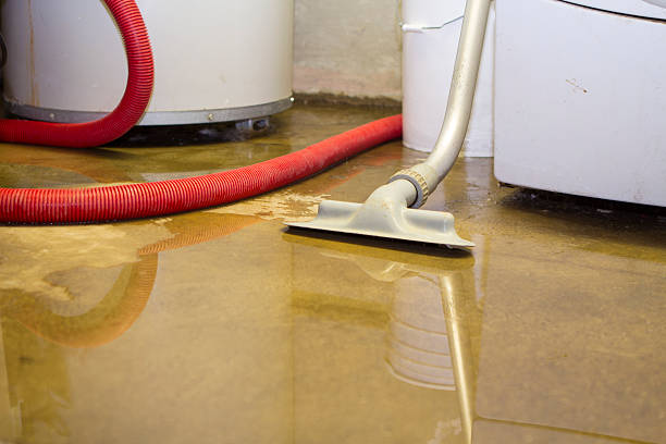 Best Water damage restoration near me  in Rockingham, NC