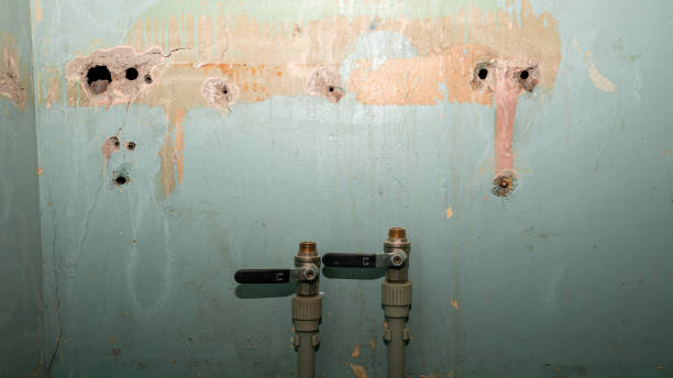 Best Mold removal after water damage  in Rockingham, NC