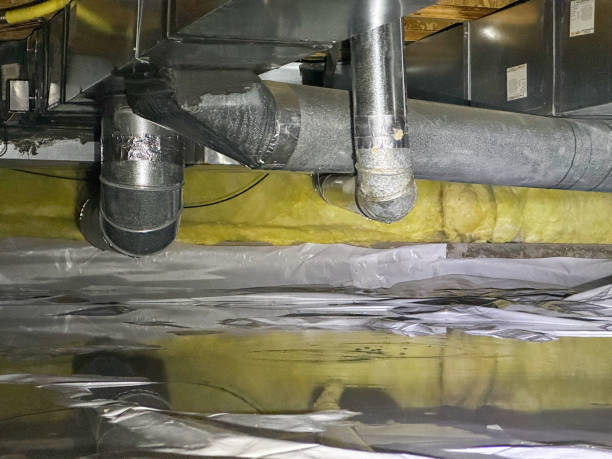 Best Flood damage cleanup  in Rockingham, NC