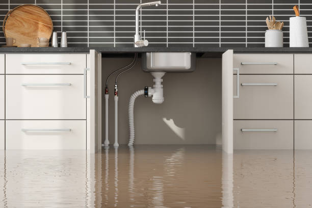 Best Fire Damage Restoration  in Rockingham, NC