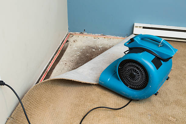 Best Sewage cleanup and water damage restoration  in Rockingham, NC